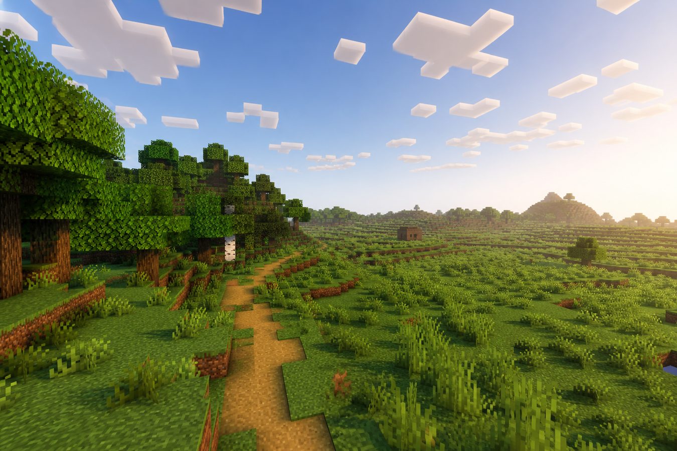 Open wilderness after the DonutSMP spawn hub was removed